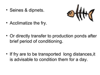 • Seines & dipnets.

• Acclimatize the fry.

• Or directly transfer to production ponds after
  brief period of conditioning.

• If fry are to be transported long distances,it
  is advisable to condition them for a day.
 