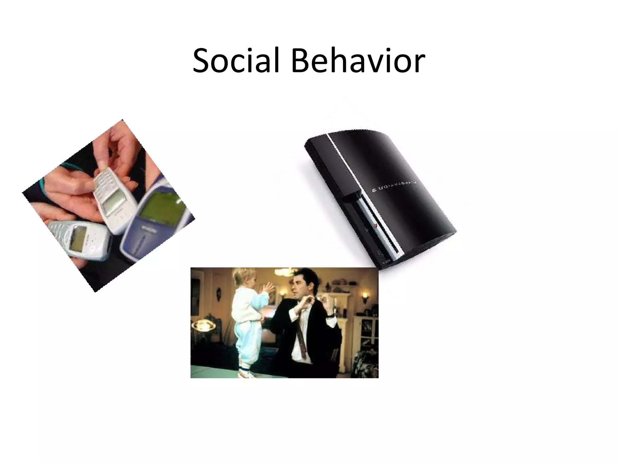 Social Behavior