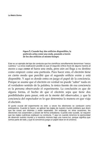 La Matriz Divina
Figura 5. Cuando hay dos orificios disponibles, la
partícula actúa como una onda, pasando a través
de los dos orificios al mismo tiempo.
Este es un ejemplo del tipo de conducta que los científicos sencillamente denominan "rareza
cuántica." La única explicación posible es que el segundo orificio forzó de alguna manera al
electrón a viajar como si fuera una onda, pero aún así llega a su destino
como empezó: como una partícula. Para hacer esto, el electrón tiene
en cierto modo que percibir que el segundo orificio existe y está
disponible. Y aquí es donde entra en juego el papel de la conciencia.
Porque se asume que el electrón en verdad no puede "saber" nada en
el verdadero sentido de la palabra, la única fuente de esa conciencia
es la persona observando el experimento. La conclusión es que de
alguna forma, el hecho de que el electrón sepa que tiene dos
posibilidades para pasar, está en la mente del observador, y que la
conciencia del espectador es lo que determina la manera en que viaja
el electrón.
El punto crucial del experimento es este: a veces los electrones se conducen como
anticipamos. Cuando lo hacen, se aplican las reglas de nuestro mundo cotidiano que dicen
que las cosas son distintas y están separadas. Sin embargo, en otras ocasiones, los
electrones nos sorprenden y actúan de forma ondulatoria. Cuando esto sucede, se requiere
que las reglas cuánticas expliquen su conducta. Y aquí es cuando tenemos la oportunidad
de observar nuestro mundo y a nosotros mismos bajo una nueva luz, porque significa que
somos parte de todo, y que la conciencia juega un papel clave en el universo.
89
 