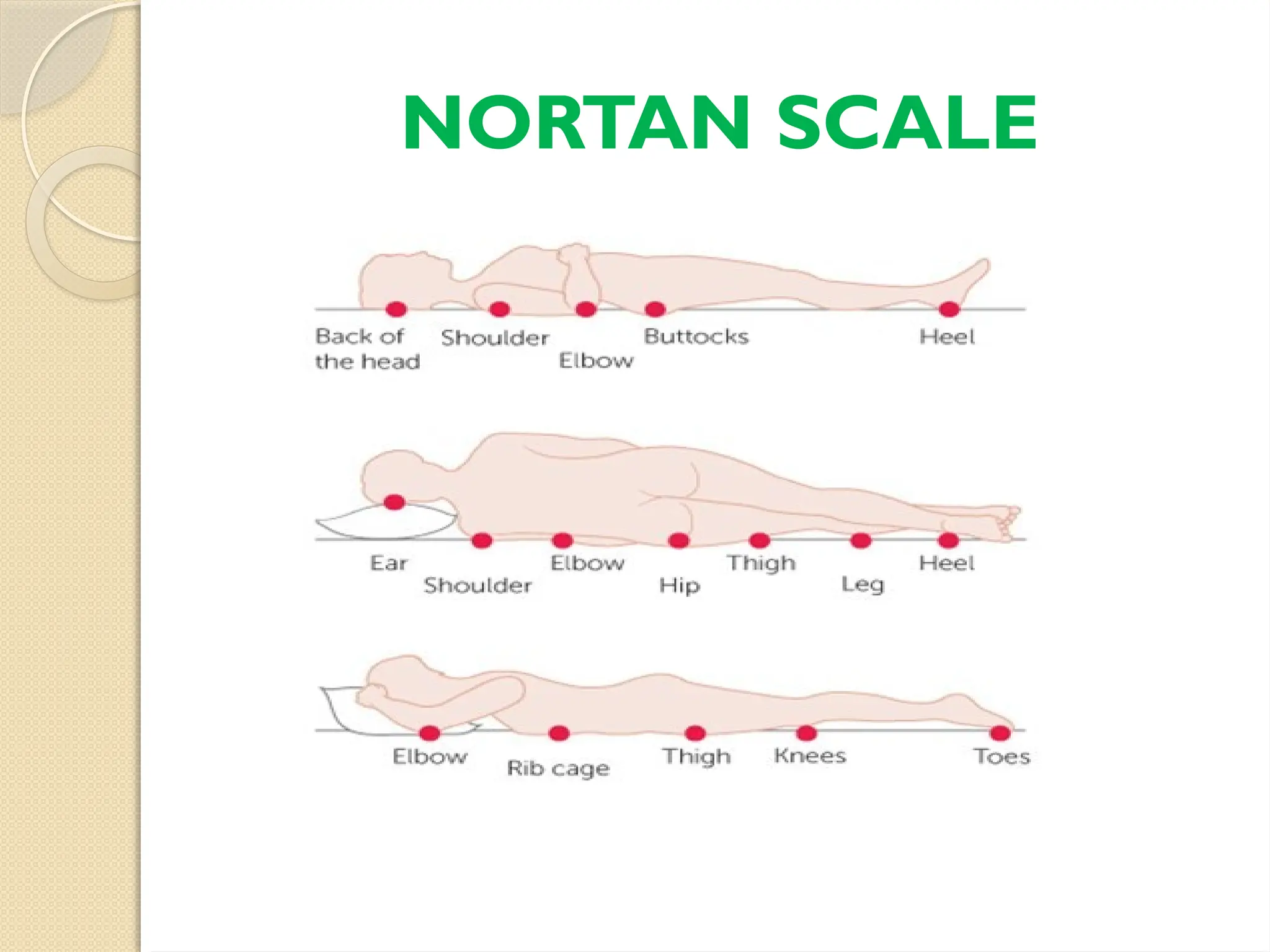 NORTAN SCALE
 