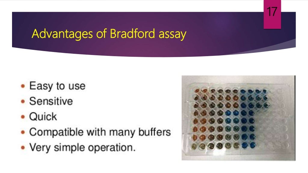 Bradford assay