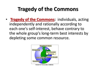Tragedy of the Commons 
• Tragedy of the Commons: individuals, acting 
independently and rationally according to 
each one's self-interest, behave contrary to 
the whole group's long-term best interests by 
depleting some common resource. 
 