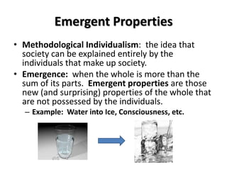 Emergent Properties
• Methodological Individualism: the idea that
  society can be explained entirely by the
  individuals that make up society.
• Emergence: when the whole is more than the
  sum of its parts. Emergent properties are those
  new (and surprising) properties of the whole that
  are not possessed by the individuals.
  – Example: Water into Ice, Consciousness, etc.
 