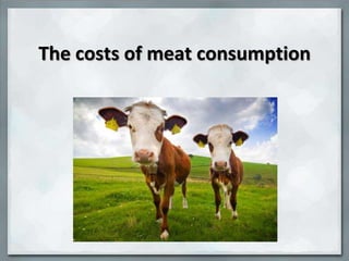 The costs of meat consumption
 