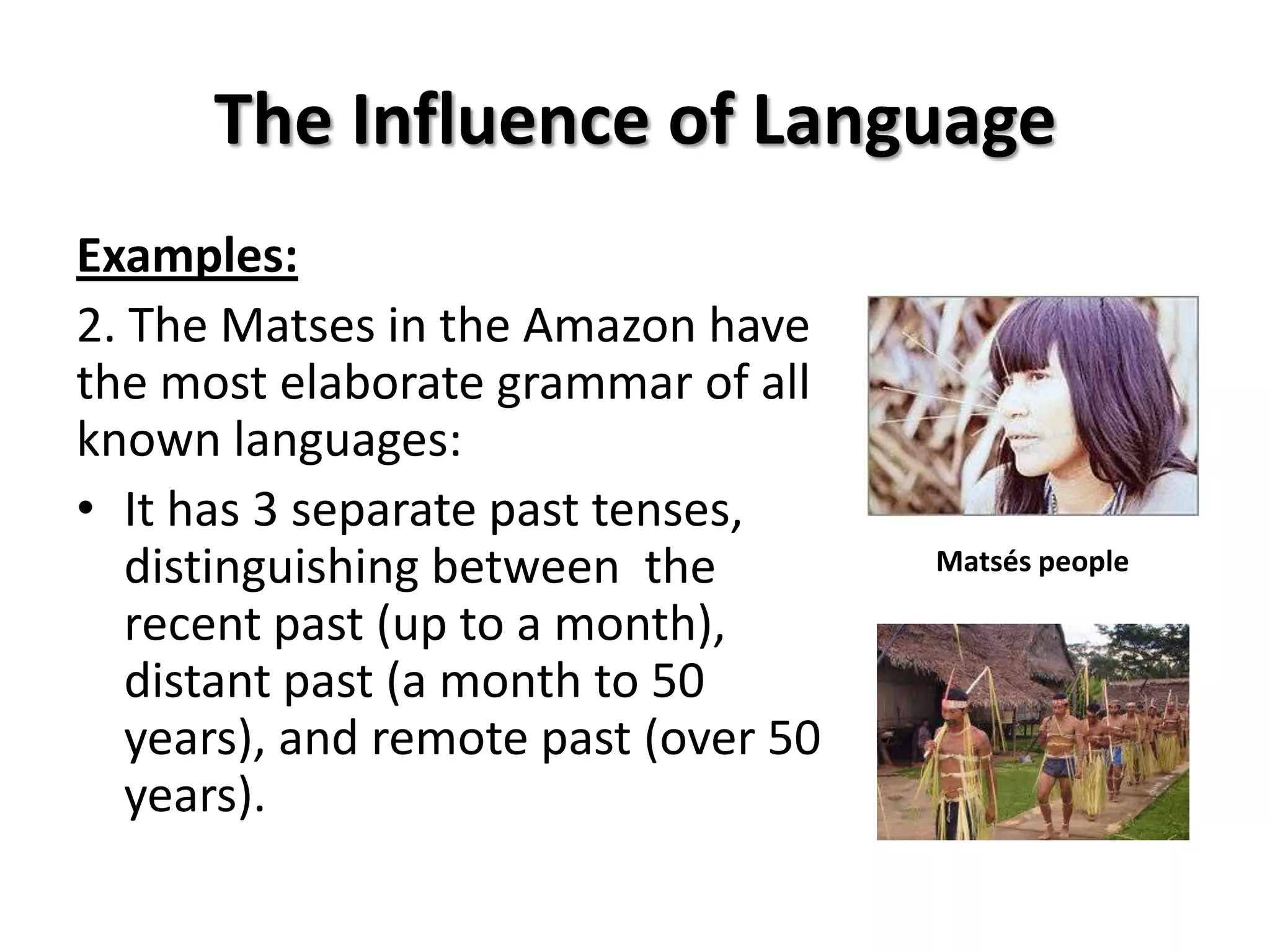 The Influence of Language
Examples:
2. The Matses in the Amazon have
the most elaborate grammar of all
known languages:
• It has 3 separate past tenses,
   distinguishing between the         Matsés people

   recent past (up to a month),
   distant past (a month to 50
   years), and remote past (over 50
   years).
 