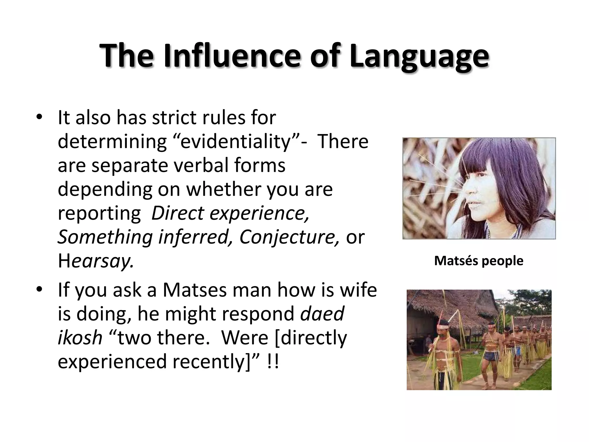The Influence of Language
• It also has strict rules for
  determining “evidentiality”- There
  are separate verbal forms
  depending on whether you are
  reporting Direct experience,
  Something inferred, Conjecture, or
  Hearsay.                              Matsés people

• If you ask a Matses man how is wife
  is doing, he might respond daed
  ikosh “two there. Were [directly
  experienced recently]” !!
 