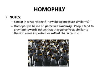HOMOPHILY
• NOTES:
– Similar in what respect? How do we measure similarity?
– Homophily is based on perceived similarity. People tend to
gravitate towards others that they perceive as similar to
them in some important or salient characteristic.

 