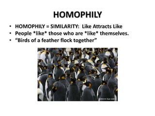 HOMOPHILY
• HOMOPHILY = SIMILARITY: Like Attracts Like
• People *like* those who are *like* themselves.
• “Birds of a feather flock together”

 