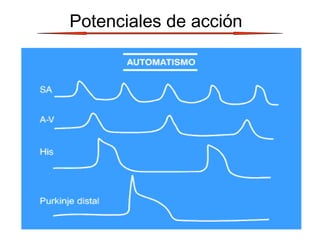 Potenciales de acción
 