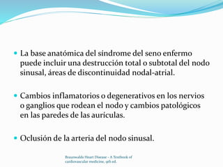  La base anatómica del síndrome del seno enfermo
puede incluir una destrucción total o subtotal del nodo
sinusal, áreas de discontinuidad nodal-atrial.
 Cambios inflamatorios o degenerativos en los nervios
o ganglios que rodean el nodo y cambios patológicos
en las paredes de las aurículas.
 Oclusión de la arteria del nodo sinusal.
Braunwalds Heart Disease - A Textbook of
cardiovascular medicine, 9th ed.
 