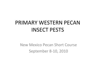 PRIMARY WESTERN PECAN
INSECT PESTS
New Mexico Pecan Short Course
September 8-10, 2010
 