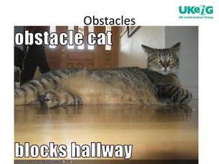 Obstacles 