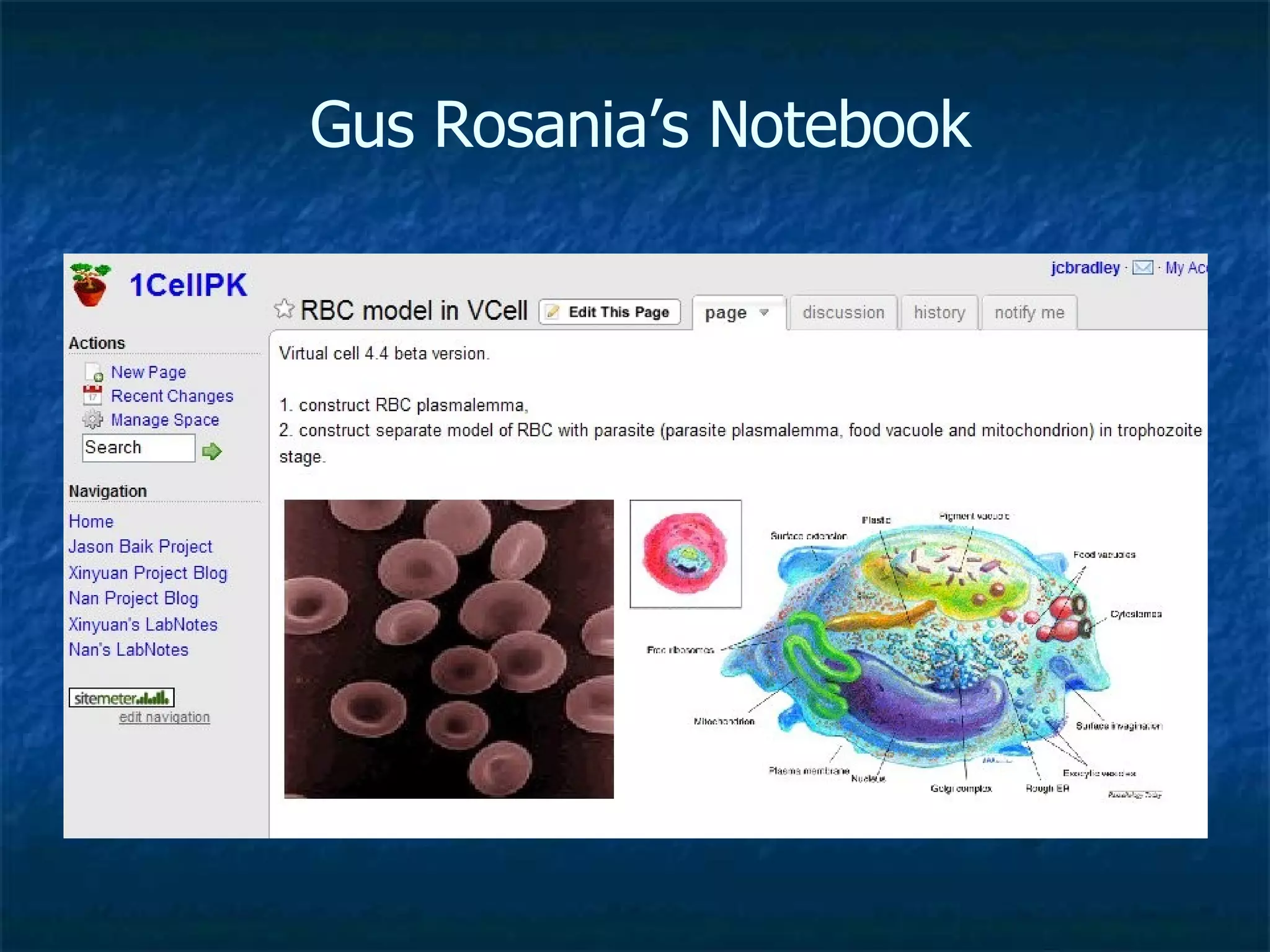 Gus Rosania’s Notebook 