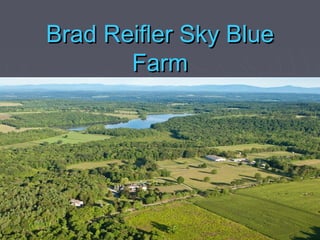 Brad Reifler Sky Blue
       Farm
 