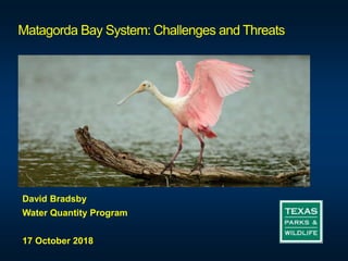 Matagorda Bay System: Challenges and Threats
David Bradsby
Water Quantity Program
17 October 2018
 