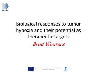 Biological responses to tumor
hypoxia and their potential as
     therapeutic targets
       Brad Wouters



        This course is funded with the support of the METOXIA project
                          under the FP7 Programme.
 
