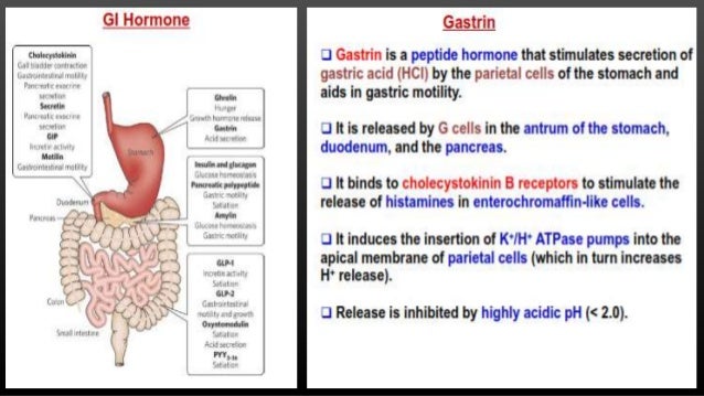Pharmacology Of Bradykinin , Pentagastrin, Cholecystokinin And Angiot… Pharmacology Of Bradykinin , Pentagastrin, Cholecystokinin And Angiot…