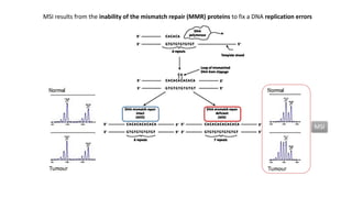 Braf lynch syndrome mmr right and left colon cancer | PPTX