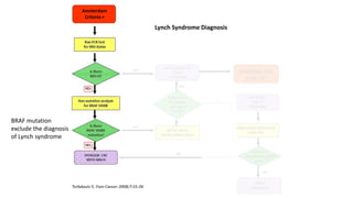 Braf lynch syndrome mmr right and left colon cancer | PPTX