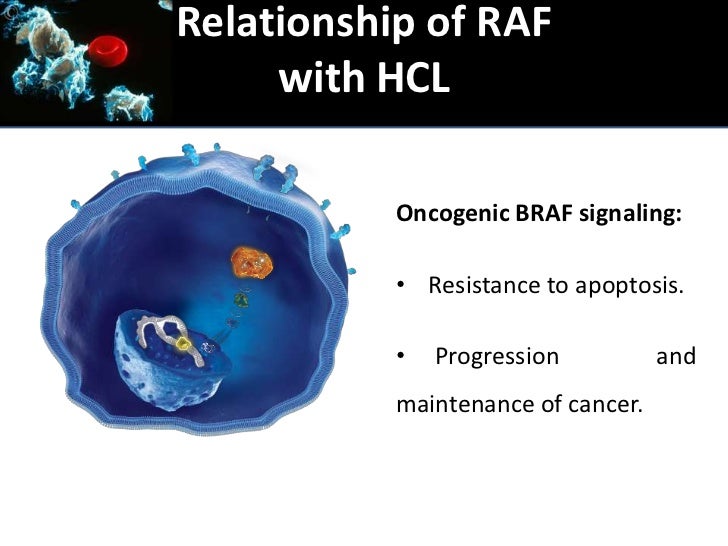Braf mutations in Hairy Cell Leukemia