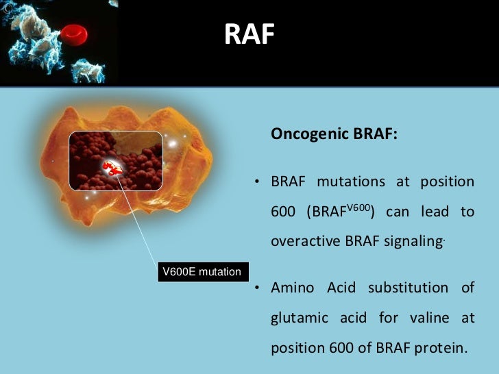Braf mutations in Hairy Cell Leukemia