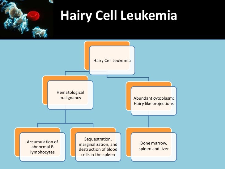 Braf mutations in Hairy Cell Leukemia