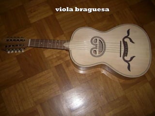 viola braguesa
 