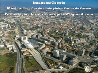 Imagens:Google
 Música: Uma flor de verde pinho/ Carlos do Carmo
Formatação: ferreira.marques52@gmail.com
 