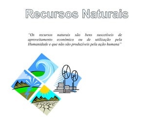 “Os recursos naturais são bens suscetíveis de
aproveitamento económico ou de utilização pela
Humanidade e que não são produzíveis pela ação humana”
 