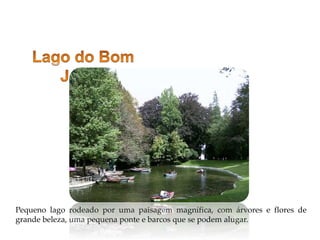 Pequeno lago rodeado por uma paisagem magnífica, com árvores e flores de
grande beleza, uma pequena ponte e barcos que se podem alugar.
 