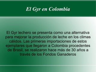 El Gyr en Colombia El Gyr lechero se presenta como una alternativa para mejorar la producción de leche en los climas cálidos. Las primeras importaciones de estos ejemplares que llegaron a Colombia procedentes de Brasil, se realizaron hace más de 30 años a través de los Fondos Ganaderos 