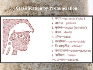 Classification by Pronunciation
 
