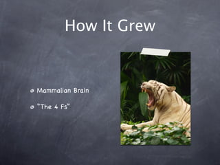 How It Grew
Mammalian Brain
“The 4 Fs”