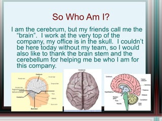 So Who Am I? ,[object Object]