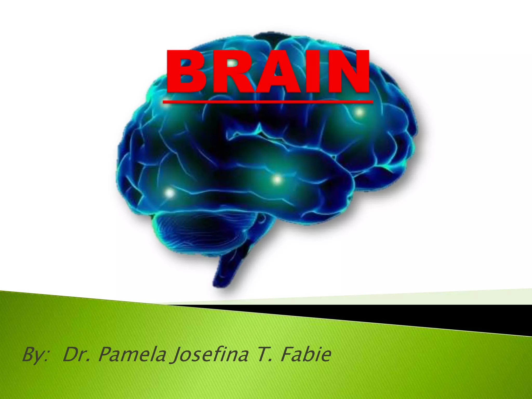 By: Dr. Pamela Josefina T. Fabie
 