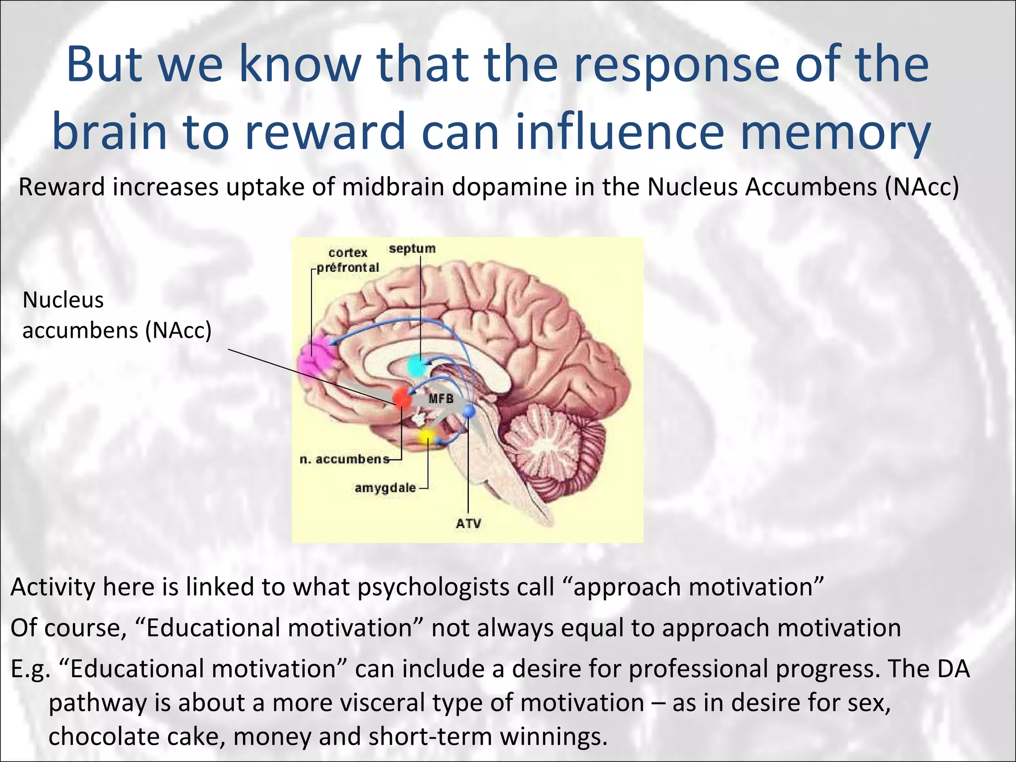 Activity here is linked to what psychologists call “approach motivation” Of course, “Educational motivation” not always equal to approach motivation E.g. “Educational motivation” can include a desire for professional progress. The DA pathway is about a more visceral type of motivation – as in desire for sex, chocolate cake, money and short-term winnings. But we know that the response of the brain to reward can influence memory  Reward increases uptake of midbrain dopamine in the Nucleus Accumbens (NAcc) Nucleus accumbens (NAcc) 