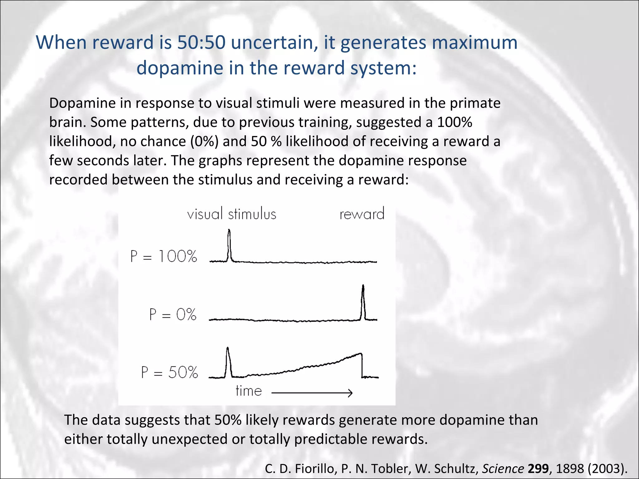 When reward is 50:50 uncertain, it generates maximum dopamine in the reward system: C. D. Fiorillo, P. N. Tobler, W. Schultz,  Science   299 , 1898 (2003). Dopamine in response to visual stimuli were measured in the primate brain. Some patterns, due to previous training, suggested a 100% likelihood, no chance (0%) and 50 % likelihood of receiving a reward a few seconds later. The graphs represent the dopamine response recorded between the stimulus and receiving a reward: The data suggests that 50% likely rewards generate more dopamine than either totally unexpected or totally predictable rewards. 