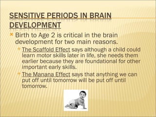    Birth to Age 2 is critical in the brain
    development for two main reasons.
     The  Scaffold Effect says although a child could
      learn motor skills later in life, she needs them
      earlier because they are foundational for other
      important early skills.
     The Manana Effect says that anything we can
      put off until tomorrow will be put off until
      tomorrow.
 