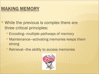    While the previous is complex there are
    three critical principles:
     Encoding—multiple   pathways of memory
     Maintenance—activating memories keeps them
      strong
     Retrieval—the ability to access memories
 