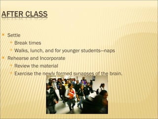    Settle
      Break times

      Walks, lunch, and for younger students—naps

   Rehearse and Incorporate
      Review the material

      Exercise the newly formed synapses of the brain.
 
