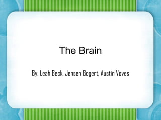 The Brain By: Leah Beck, Jensen Bogert, Austin Voves 