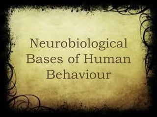 Neurobiological
Bases of Human
Behaviour
 