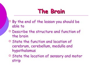 The BrainThe Brain
 By the end of the lesson you should be
able to
 Describe the structure and function of
the brain
 State the function and location of
cerebrum, cerebellum, medulla and
hypothalamus
 State the location of sensory and motor
strip
 