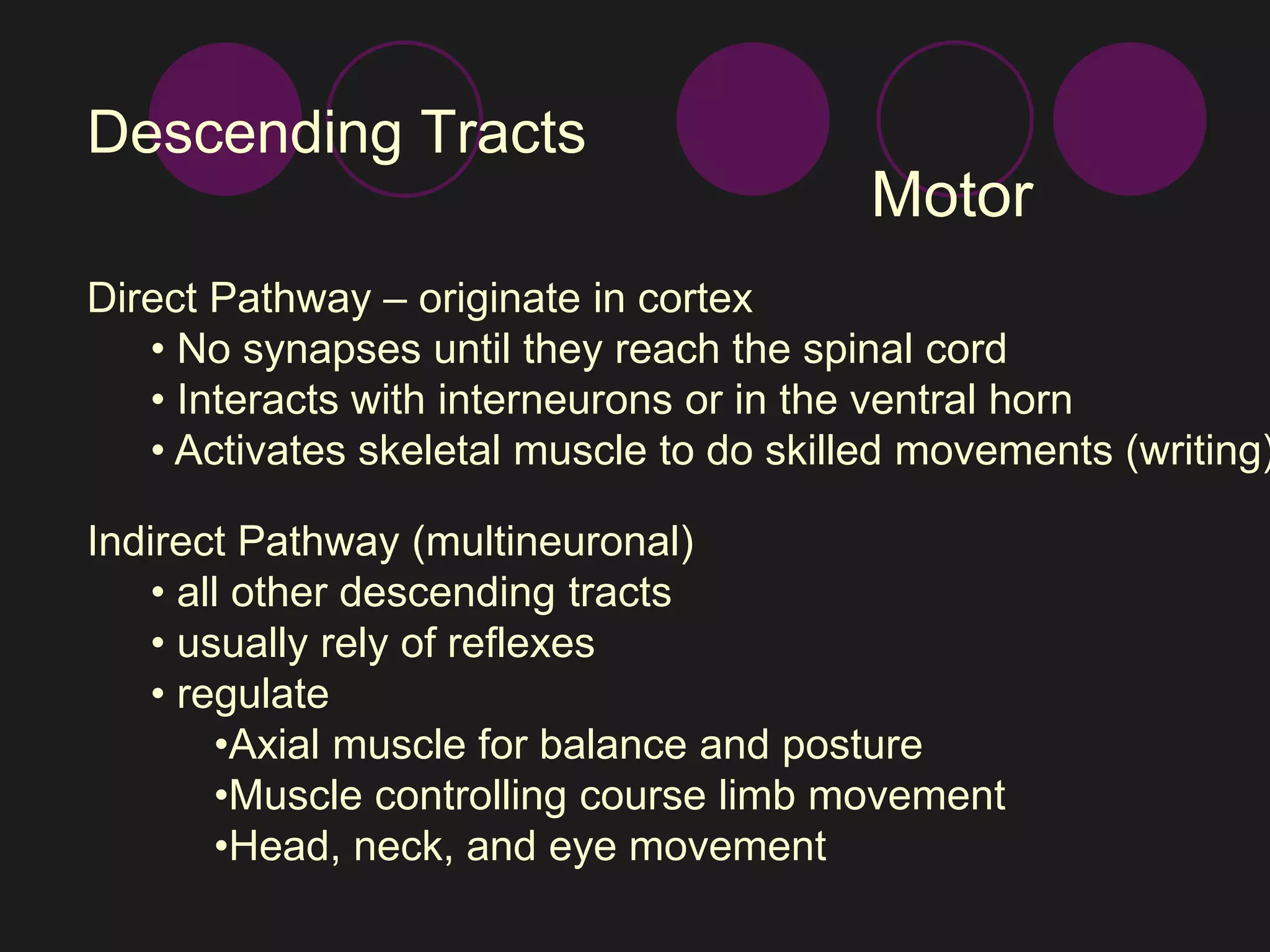 Descending Tracts 
Motor 
Direct Pathway – originate in cortex 
• No synapses until they reach the spinal cord 
• Interacts with interneurons or in the ventral horn 
• Activates skeletal muscle to do skilled movements (writing) 
Indirect Pathway (multineuronal) 
• all other descending tracts 
• usually rely of reflexes 
• regulate 
•Axial muscle for balance and posture 
•Muscle controlling course limb movement 
•Head, neck, and eye movement 
 