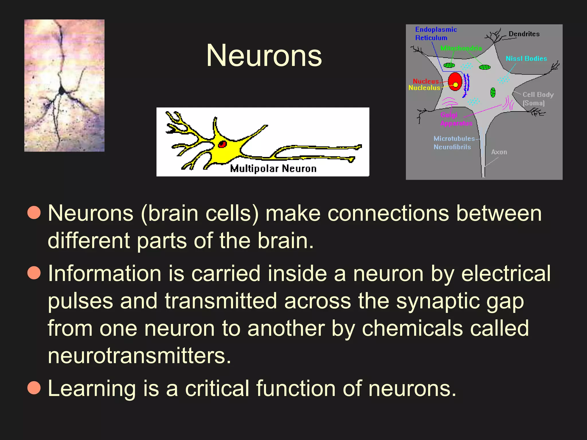Neurons 
 Neurons (brain cells) make connections between 
different parts of the brain. 
 Information is carried inside a neuron by electrical 
pulses and transmitted across the synaptic gap 
from one neuron to another by chemicals called 
neurotransmitters. 
 Learning is a critical function of neurons. 
 
