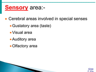 Sensory area:-
Slide
 Cerebral areas involved in special senses
Gustatory area (taste)
Visual area
Auditory area
Olfactory area
 