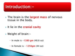  The brain is the largest mass of nervous
tissue in the body.
 It lie in the cranial cavity
 Weight of brain:-
 In male is -1380 gm (48.6 oz)
 In female is – 1250gm (44 oz)
Introduction:-
 