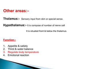 Other areas:-
Thalamus:- Sensory input from skin or special sense.
Hypothalamus:- It is compose of number of nerve cell
It is situated front & below the thalamus.
Function:-
1. Appetite & satiety
2. Thirst & water balance
3. Regulate body temperature
4. Emotional reaction
 
