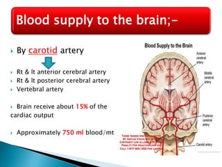  By carotid artery
 Rt & lt anterior cerebral artery
 Rt & lt posterior cerebral artery
 Vertebral artery
 Brain receive about 15% of the
cardiac output
 Approximately 750 ml blood/mt
Blood supply to the brain;-
 