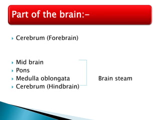  Cerebrum (Forebrain)
 Mid brain
 Pons
 Medulla oblongata Brain steam
 Cerebrum (Hindbrain)
Part of the brain:-
 